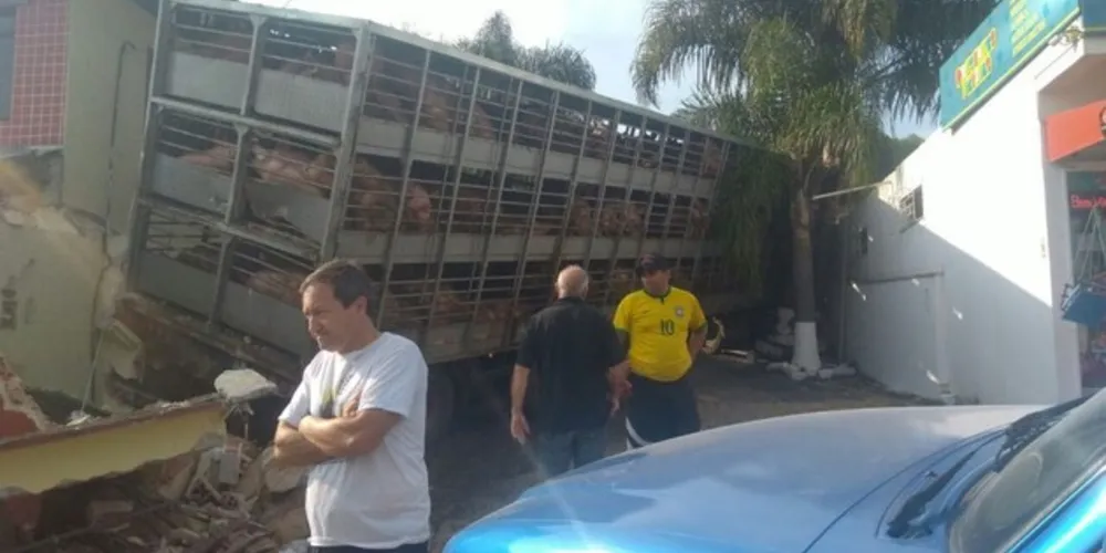 Imagem ilustrativa da imagem Caminhão com porcos fica desgovernado e causa acidente