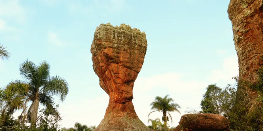Imagem ilustrativa da imagem Fumtur promove ações para marcar Dia do Turismo