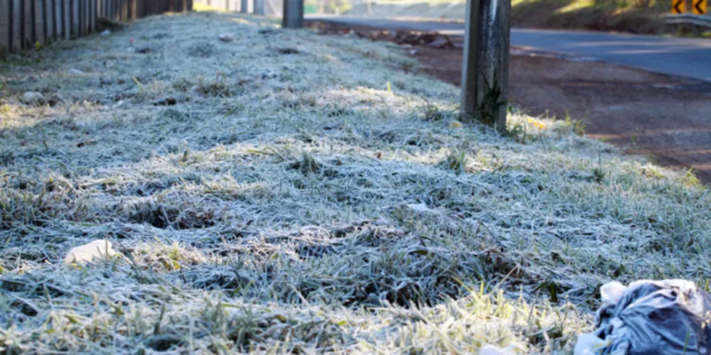 O ar polar poderá formar geada a partir do dia 20/Foto: Arquivo JM