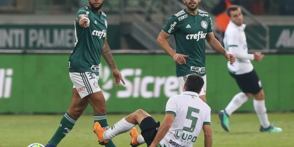 Imagem ilustrativa da imagem Palmeiras empata com o América-MG e vai às quartas