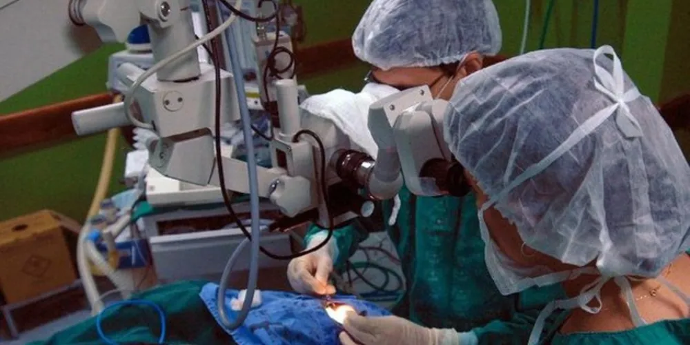 O transplante ocorreu seis meses após o primeiro realizado no mundo/Foto: Reprodução Agência Brasil 