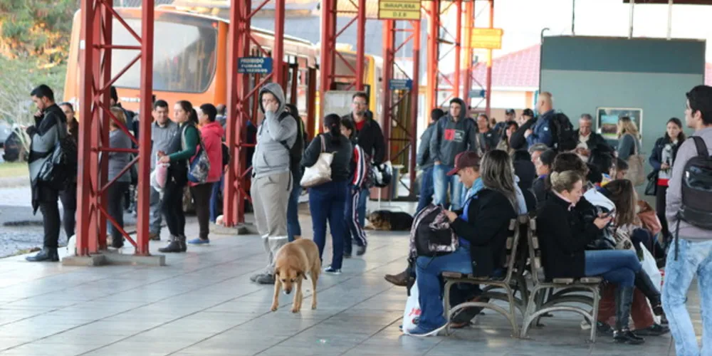 Número de viagens e de ônibus foi drasticamente reduzida
