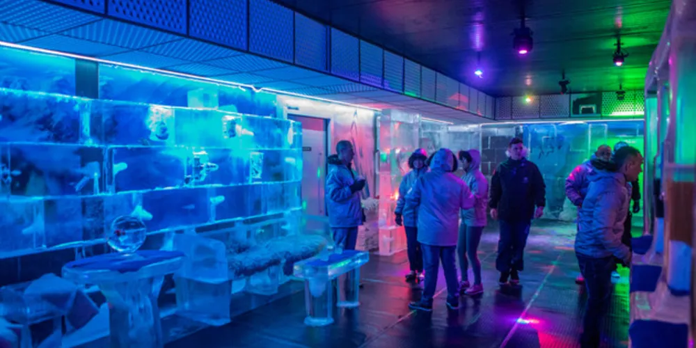 Imagem ilustrativa da imagem Icebar Brasil