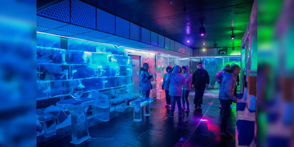 Imagem ilustrativa da imagem Icebar Brasil