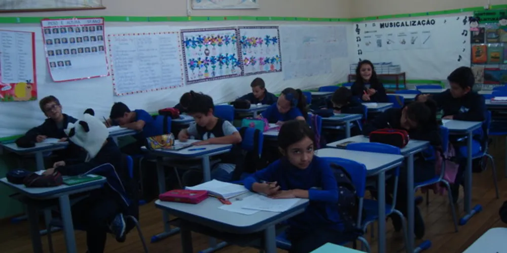 Imagem ilustrativa da imagem Paralisação dos caminhoneiros divide alunos em PG