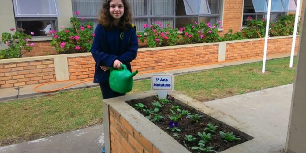Imagem ilustrativa da imagem Cuidados com floreira embelezam instituição de ensino em Carambeí