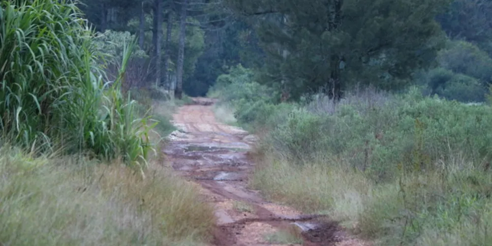 Estrada atual está em situação precária e intransitável nos dias de chuva. Único acesso às indústrias é pela BR-376 