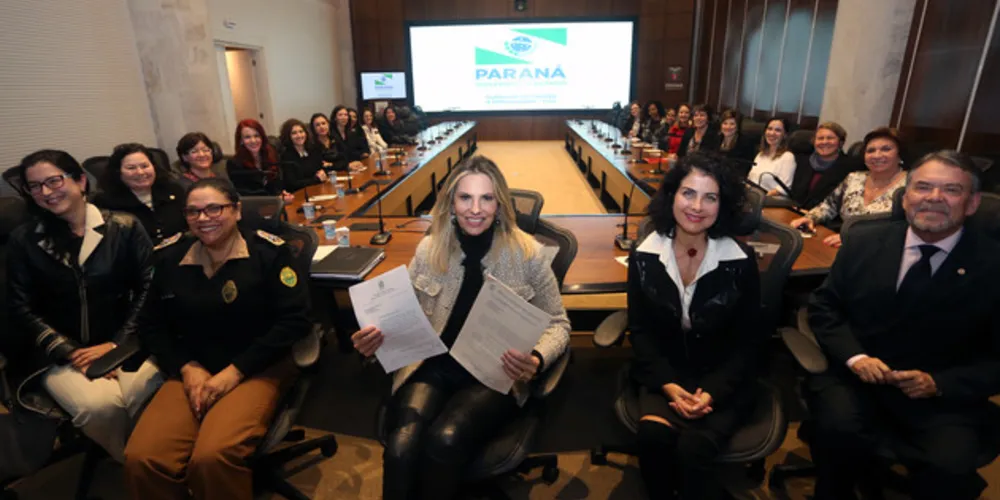 Imagem ilustrativa da imagem “Temos o dever de avançar em políticas para mulheres”, diz Cida