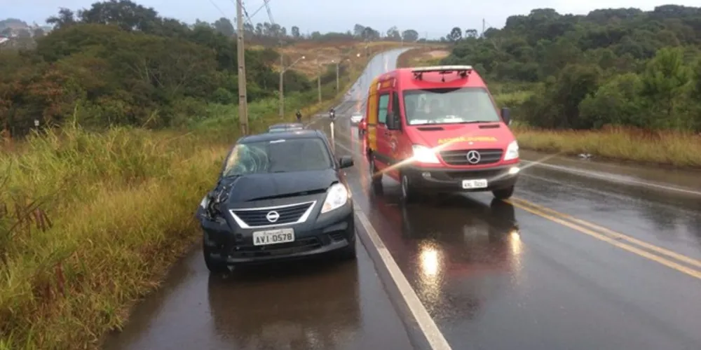 Imagem ilustrativa da imagem Carro bate em cavalo e passageira fica ferida