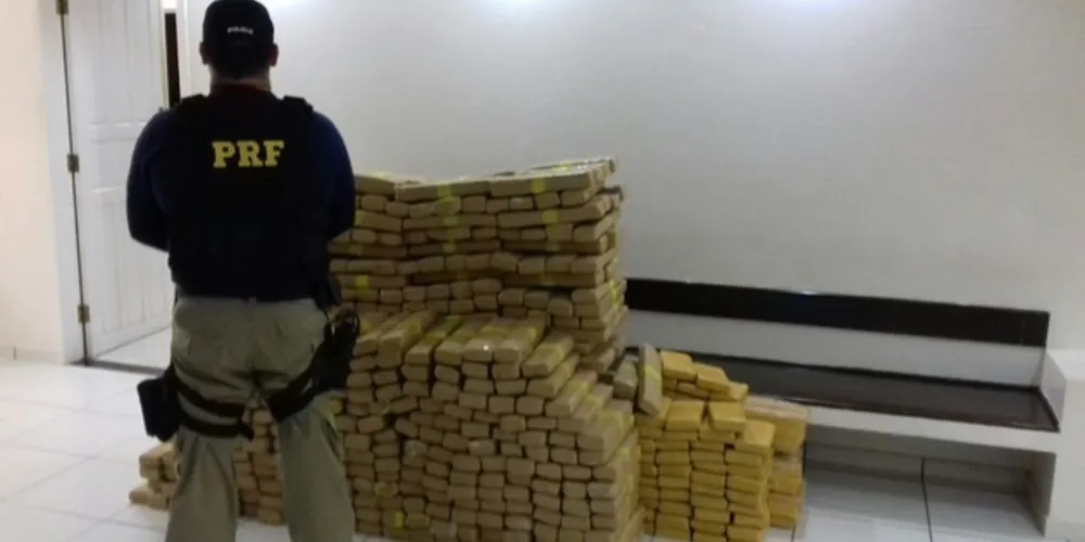 Imagem ilustrativa da imagem PRF apreende 669 kg de maconha em Guarapuava