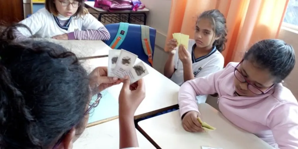 Imagem ilustrativa da imagem Jogos com cartas contribuem em estudo matemático