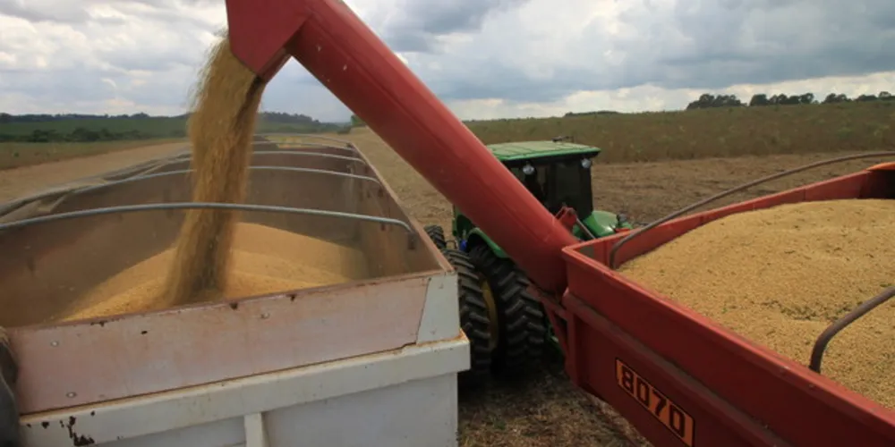 Imagem ilustrativa da imagem Região gera R$ 10,6 bilhões em riquezas no agronegócio