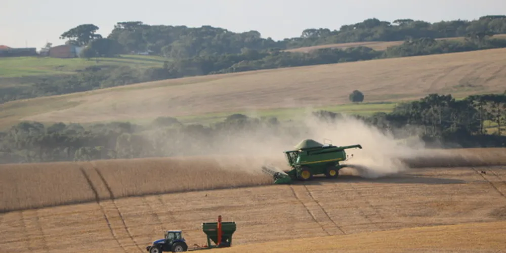 Imagem ilustrativa da imagem Campos Gerais consolida produção recorde de soja