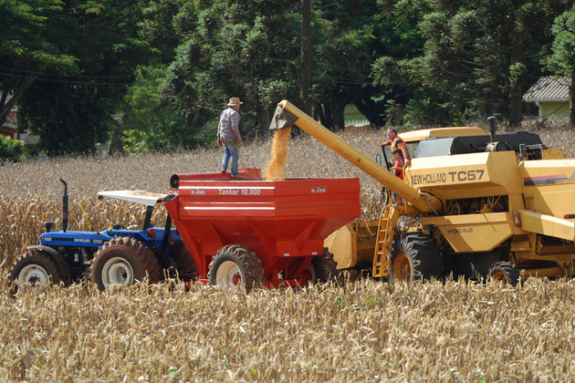 Imagem ilustrativa da imagem Brasil aumenta a produção de grãos em 555,6%