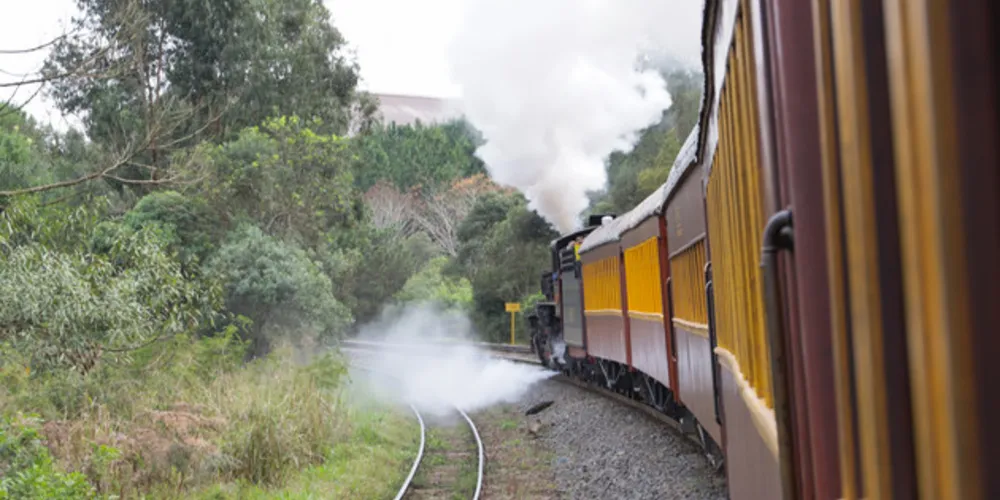 Imagem ilustrativa da imagem ‘Maria Fumaça’ atrai dezenas de passageiros