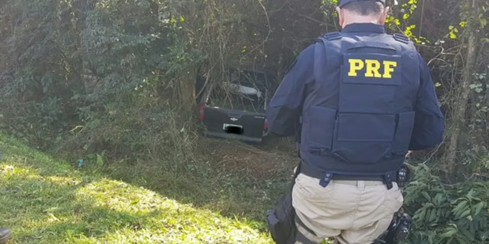 Imagem ilustrativa da imagem Carro sai da pista e bate em árvore na BR-373