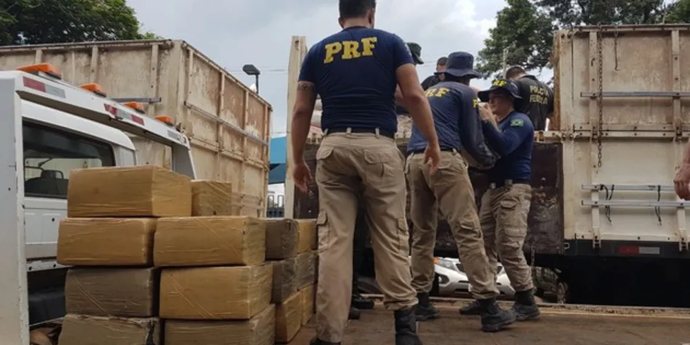 Imagem ilustrativa da imagem Apreensão de drogas pela PRF cresce no 1º semestre