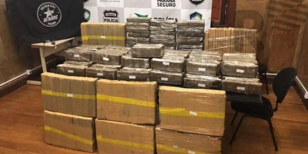 Imagem ilustrativa da imagem Denarc apreende quase 300 quilos de maconha na região