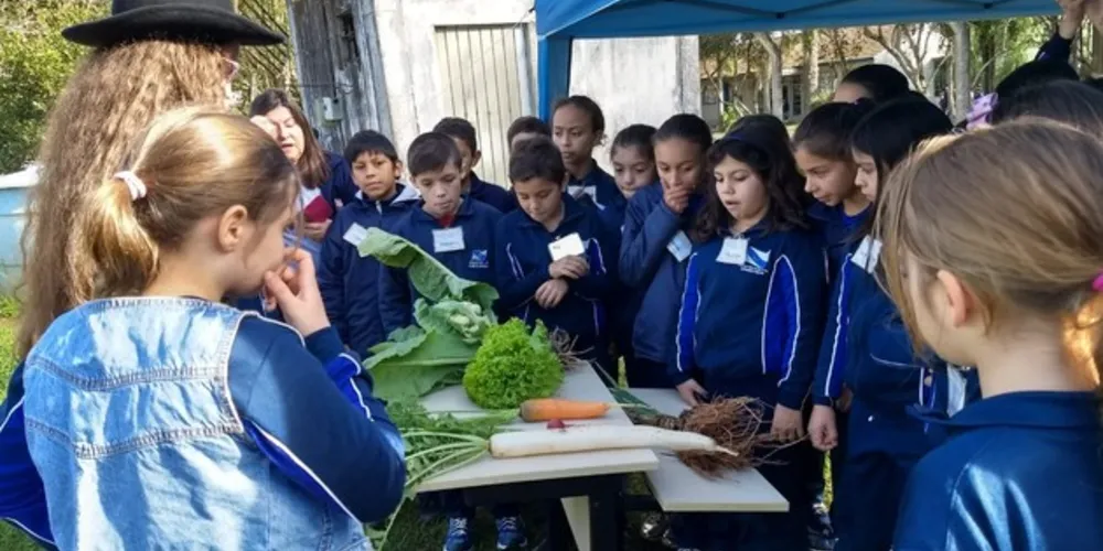 Imagem ilustrativa da imagem Educação municipal de PG faz visitas ao Colégio Agrícola