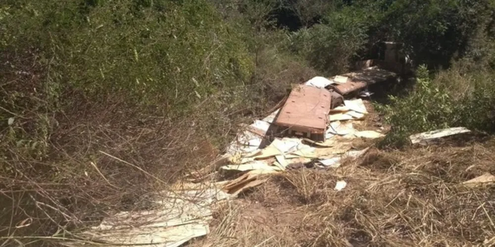 Imagem ilustrativa da imagem Caminhoneiro de PG morre em acidente na Bahia