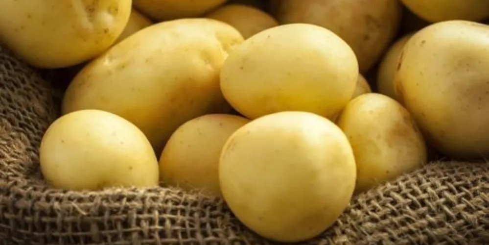 Preço da cesta básica cai 2,05% em Ponta Grossa.