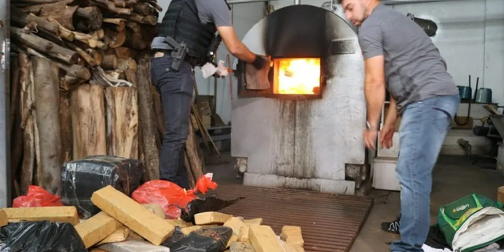Imagem ilustrativa da imagem Polícia incinera mais de 360 kg de drogas em PG