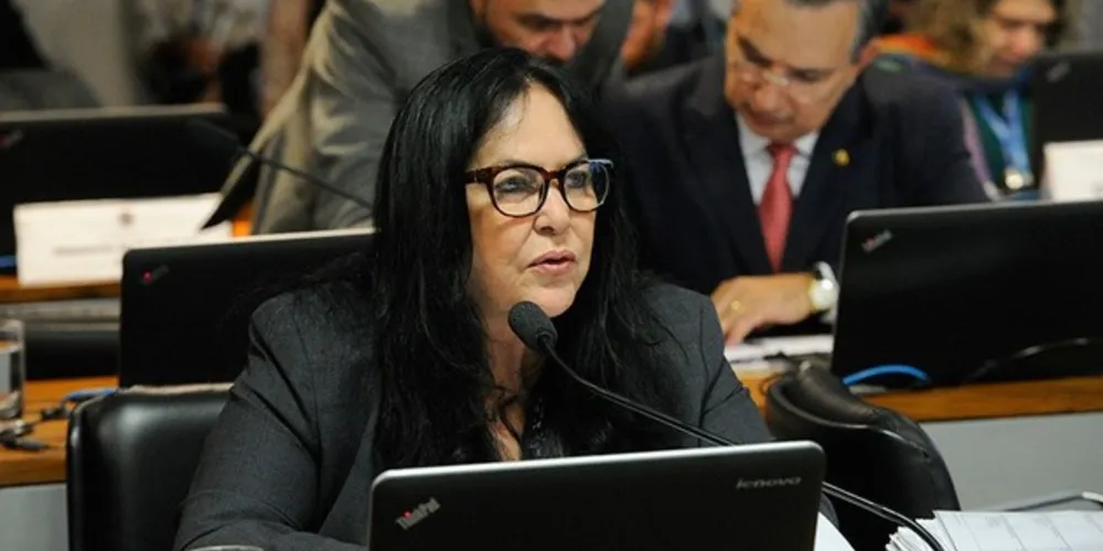 Para a autora, Rose de Freitas, bandeiras tarifárias não foram suficientes para reduzir o consumo de energia.