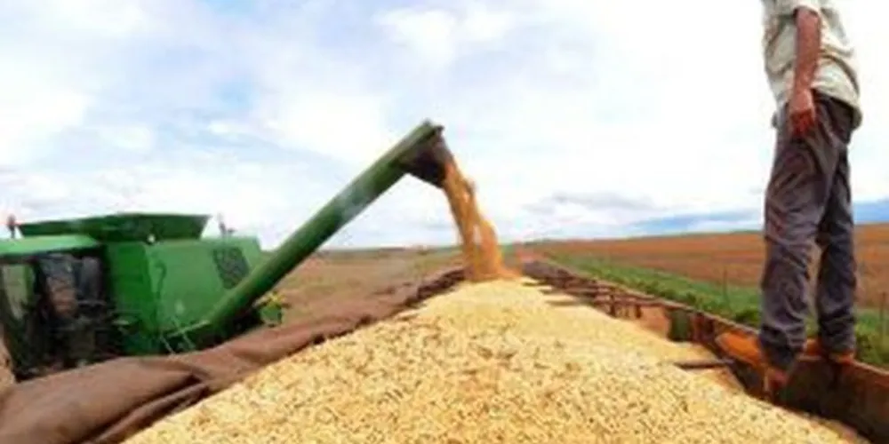 A safra de cereais, leguminosas e oleaginosas deve fechar 2018 com uma redução de 5,3% na comparação com a produção do ano passado