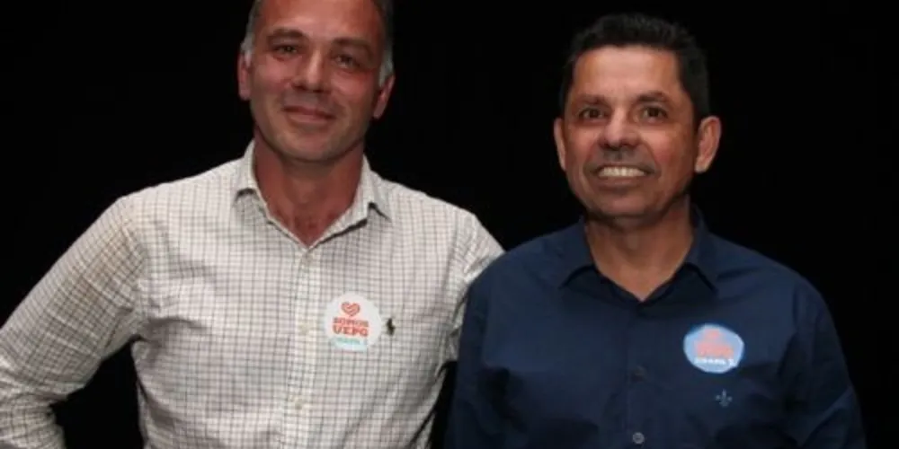 Os professores Miguel Sanches Neto e Everson Augusto Krum foram os nomeados