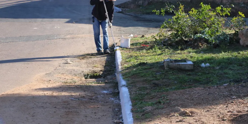 Imagem ilustrativa da imagem Castro inicia revitalização do Jardim Primavera na quinta