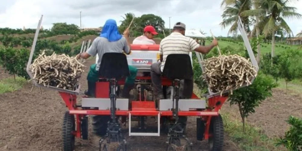 Imagem ilustrativa da imagem Contratação do crédito agropecuário aumentou 13%