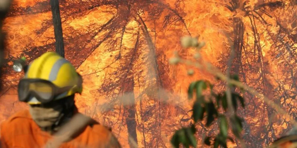 O Corpo de Bombeiros e a Polícia Militar recebem relatos e denúncias de focos de incêndio e queimadas ilegais, respectivamente.