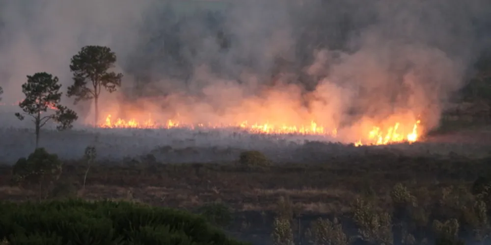 Corpo de Bombeiros alerta população para medidas preventivas contra focos de incêndio