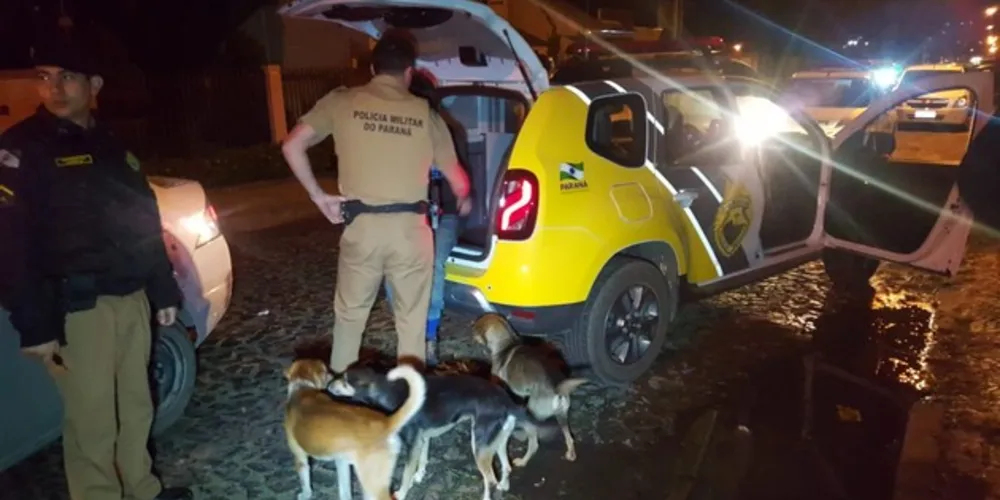 Imagem ilustrativa da imagem Suspeito de arrombamento é detido na Vila Estrela