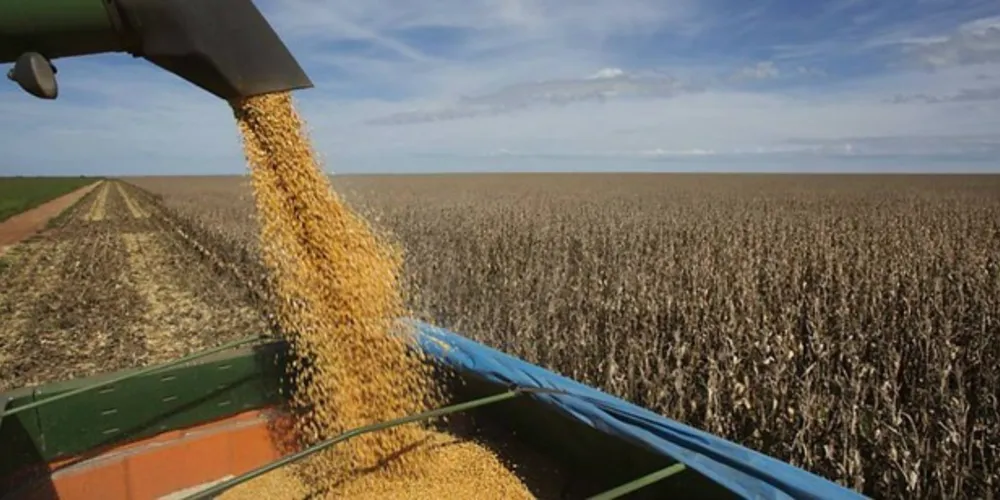 Ministério da Agricultura, Pecuária e Abastecimento vai indicar qualidade das mercadorias nacionais