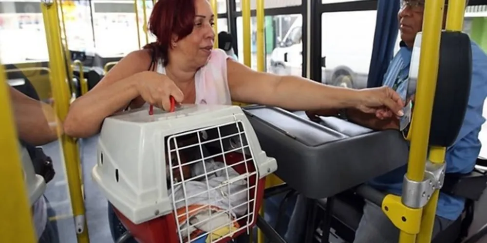 Os bichos precisam estar higienizados para que sejam embarcados