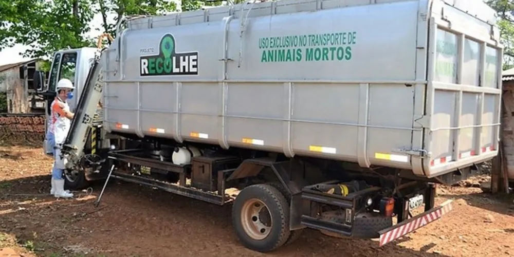 Ficará sob responsabilidade das fábricas de processamento o treinamento de funcionários para manuseio e recolhimento das carcaças nos estabelecimentos rurais