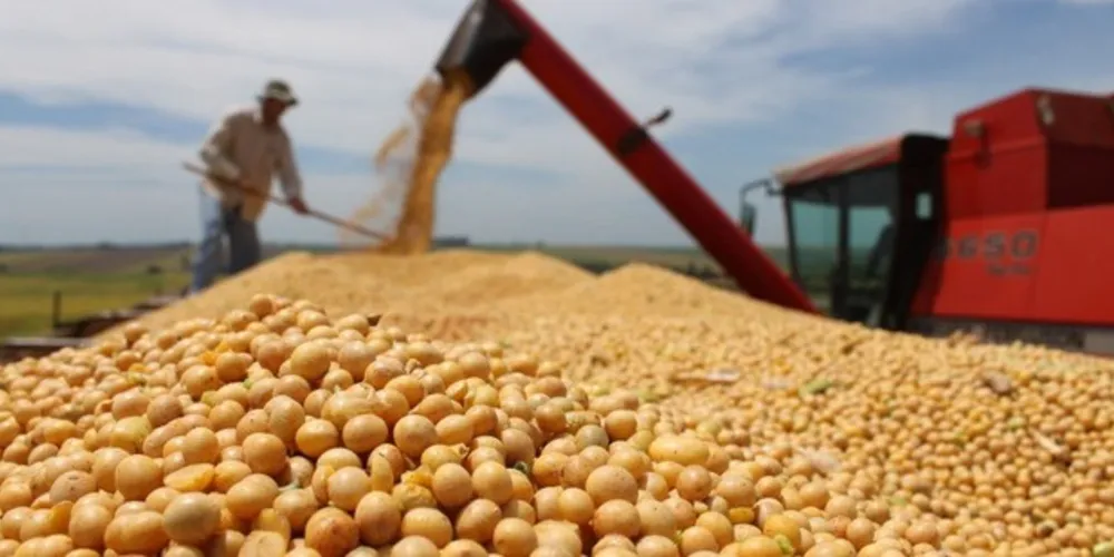 Venda de soja em grãos registrou crescimento no período 