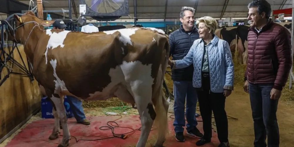 Imagem ilustrativa da imagem Vice de Alckmin, Ana Amélia visita Agroleite em Castro