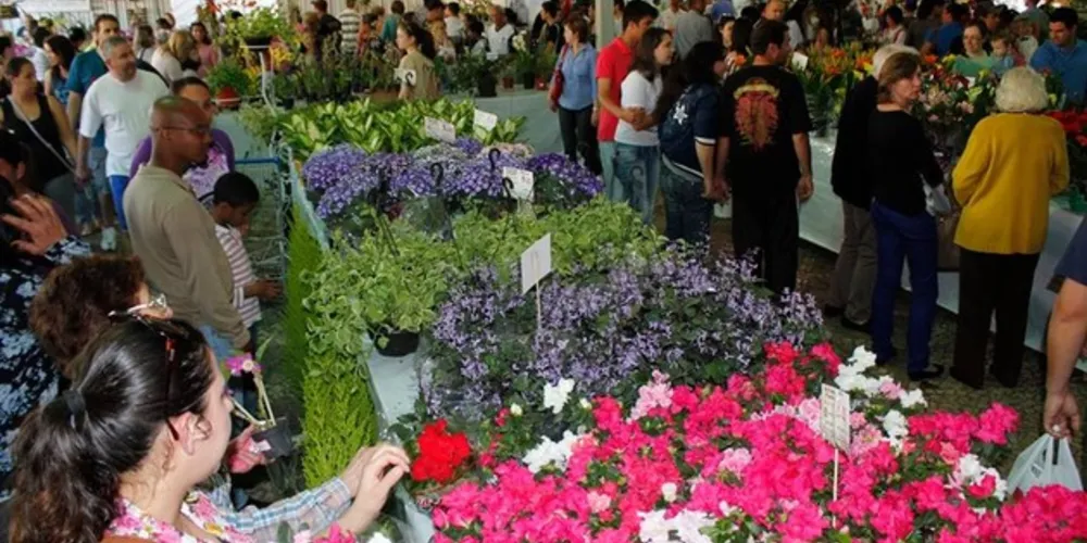 Imagem ilustrativa da imagem ExpoFlor traz a PG centenas de espécies de plantas