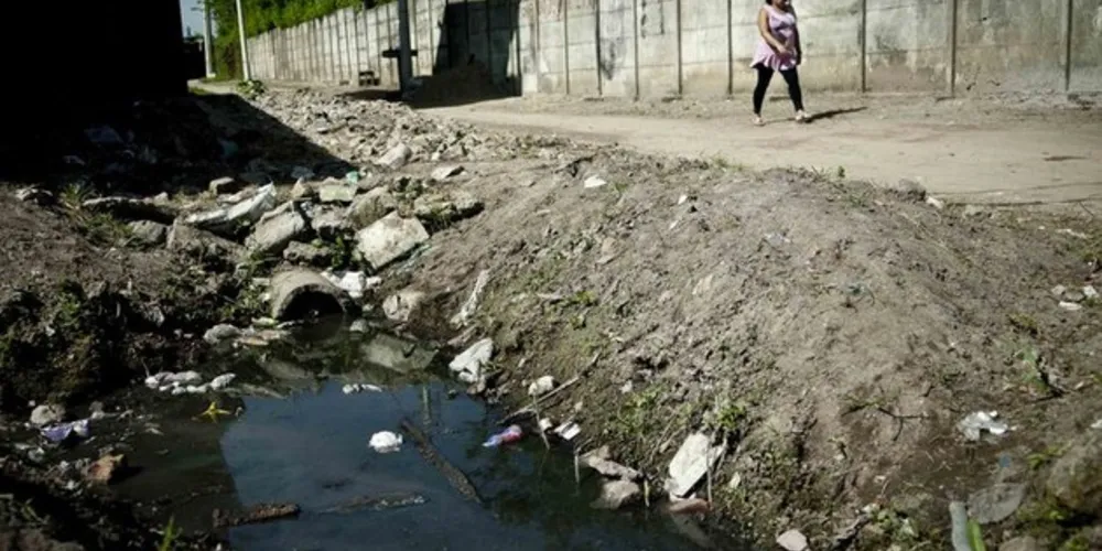 Imagem ilustrativa da imagem Especialistas alertam para epidemias de Zika e Chikungunya no verão