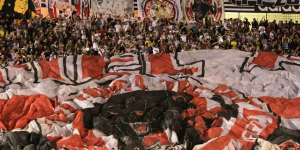Imagem ilustrativa da imagem Botafogo-SP vence rival paraibano e garante acesso