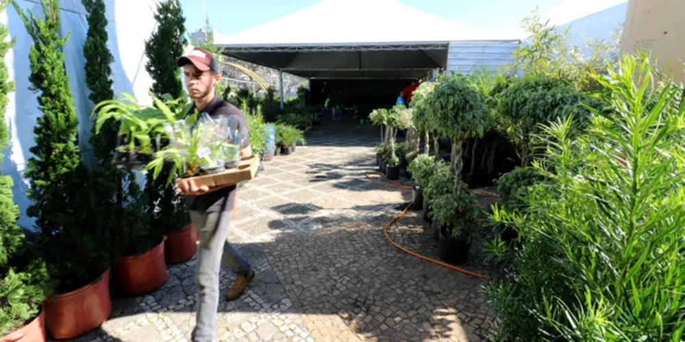 Feira acontece até o dia 9 de setembro no Parque Ambiental, com diversas atividades sociais e de lazer