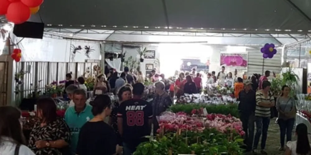 Imagem ilustrativa da imagem Expo&Flor recebe 10 mil visitantes no fim de semana
