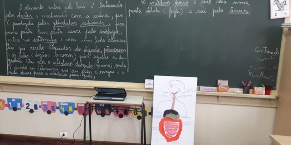 Imagem ilustrativa da imagem Sistema digestório traz teoria e prática em Castro