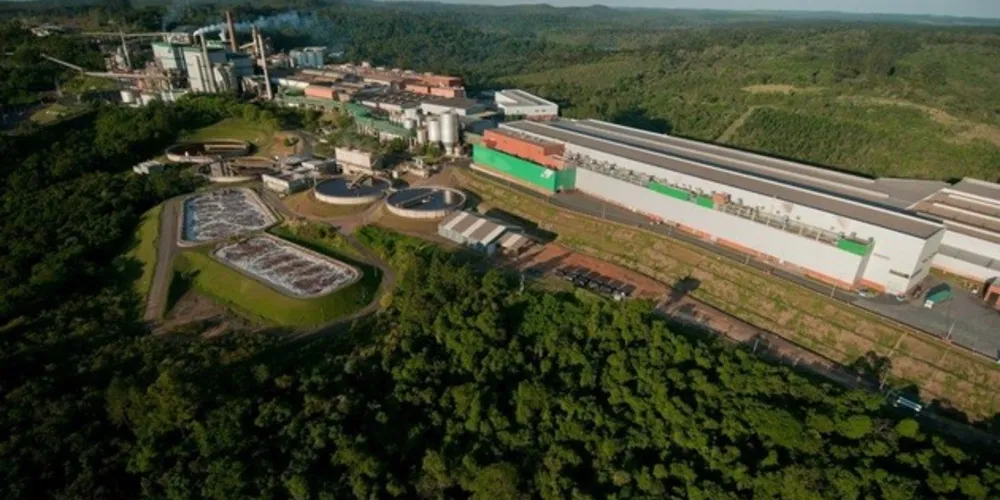 Imagem ilustrativa da imagem Klabin anuncia a construção de Parque de Plantas Piloto