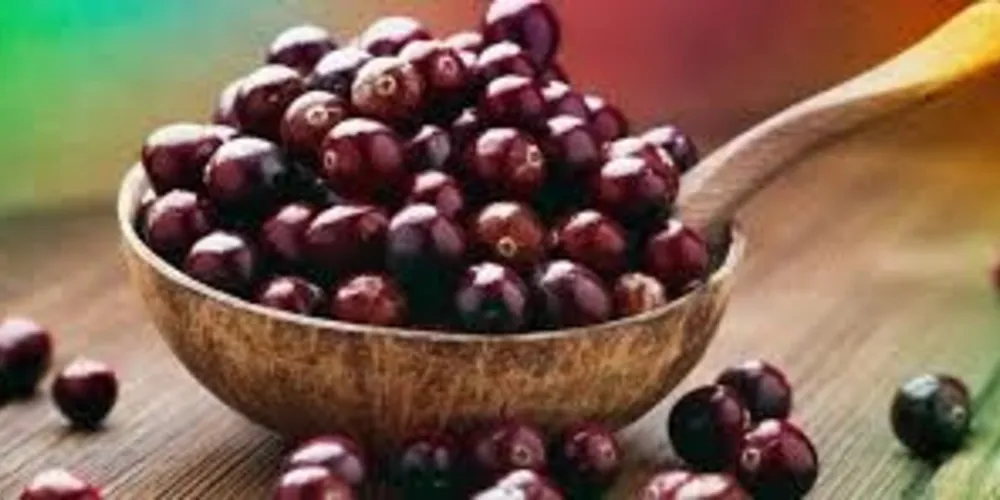 Imagem ilustrativa da imagem Açaí e seus benefícios para a saúde