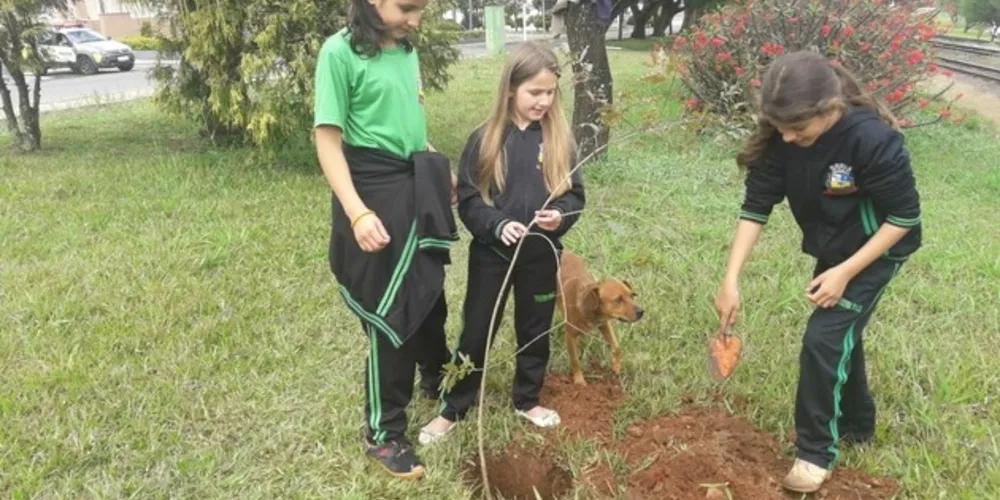 Imagem ilustrativa da imagem Parceria realiza plantio de mudas de árvore em Teixeira Soares