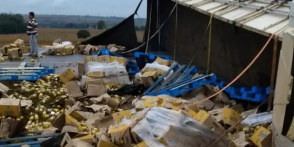 Quatro pessoas morreram em um acidente na PR-445