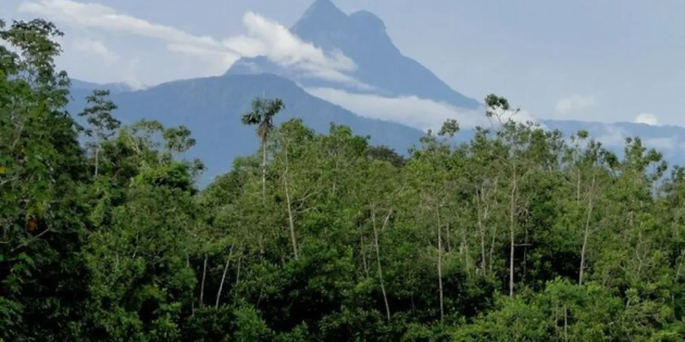 Pico da Neblina 